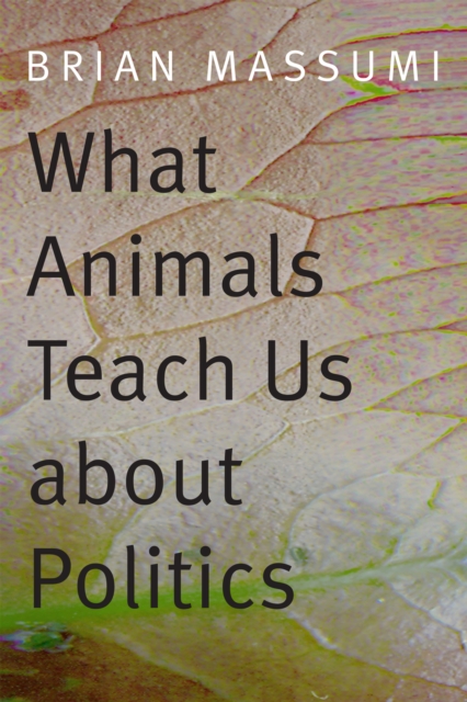 What Animals Teach Us about Politics, Hardback Book