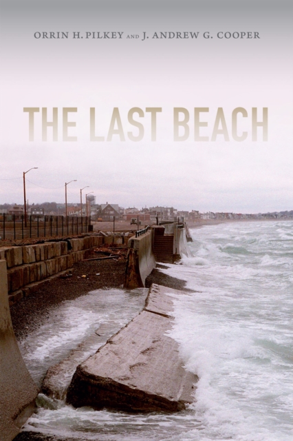 The Last Beach, Paperback / softback Book