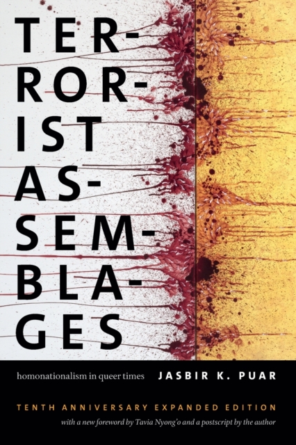 Terrorist Assemblages : Homonationalism in Queer Times, Paperback / softback Book