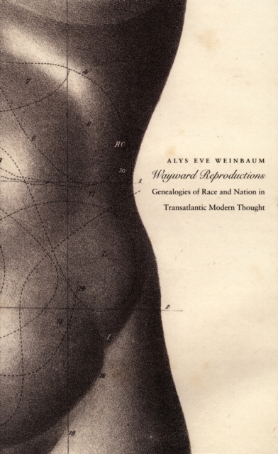 Wayward Reproductions : Genealogies of Race and Nation in Transatlantic Modern Thought, PDF eBook