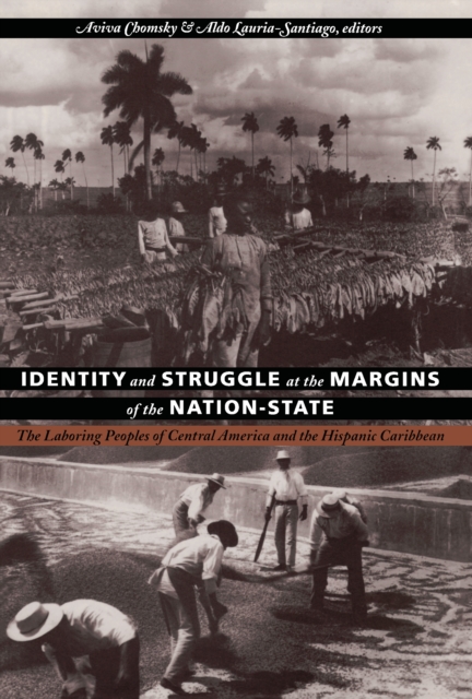 Identity and Struggle at the Margins of the Nation-State : The Laboring Peoples of Central America and the Hispanic Caribbean, PDF eBook