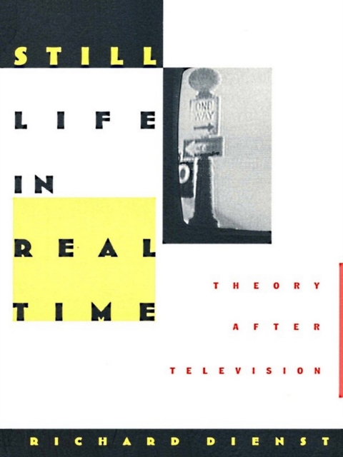 Still Life in Real Time : Theory After Television, PDF eBook