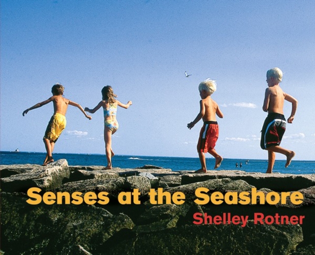 Senses at the Seashore, PDF eBook