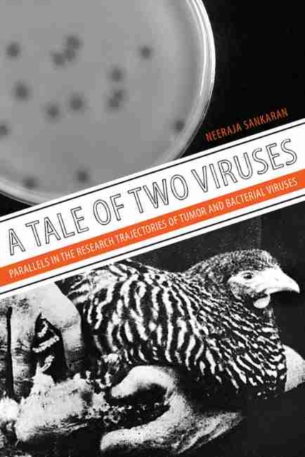 A Tale of Two Viruses : The Parallel Research Trajectories of Tumor and Bacterial Viruses, Hardback Book