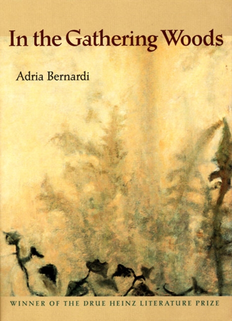 In the Gathering Woods, Paperback / softback Book