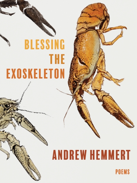Blessing the Exoskeleton : Poems, Paperback / softback Book Blessing the Exoskeleton : Poems, Paperback / softback Book