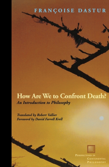 How Are We to Confront Death? : An Introduction to Philosophy, Paperback / softback Book