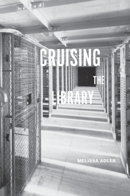 Cruising the Library : Perversities in the Organization of Knowledge, Paperback / softback Book