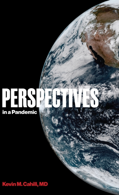 Perspectives in a Pandemic, EPUB eBook