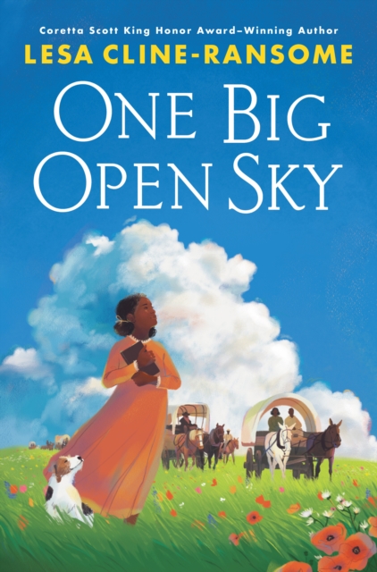 One Big Open Sky, Hardback Book