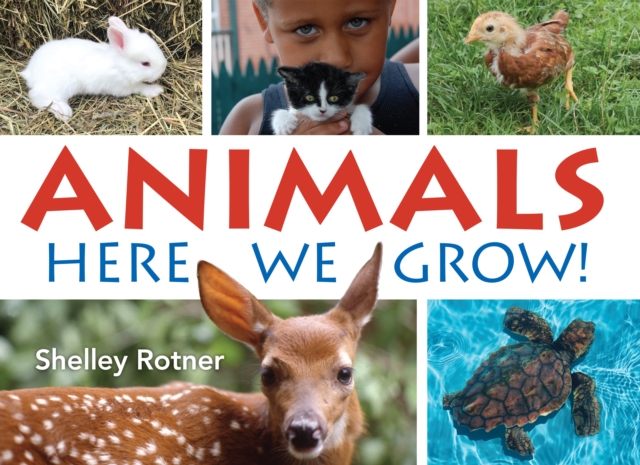 Animals! : Here We Grow, Paperback / softback Book