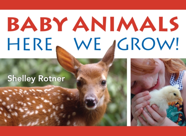 Animals! : Here We Grow, Board book Book