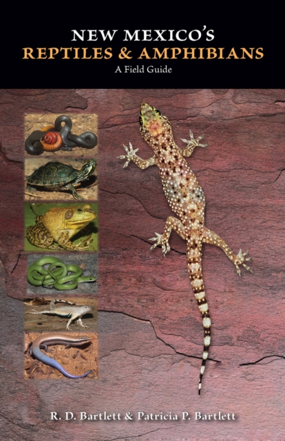 New Mexico's Reptiles and Amphibians : A Field Guide, Paperback / softback Book