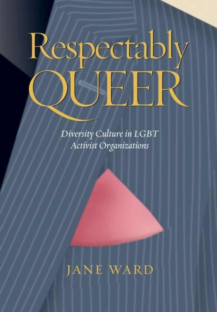 Respectably Queer : Diversity Culture in LGBT Activist Organizations, Hardback Book