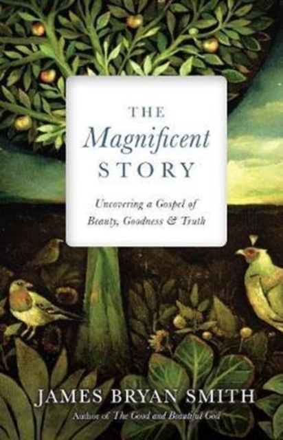 The Magnificent Story - Uncovering a Gospel of Beauty, Goodness, and Truth, Hardback Book