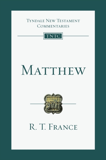 Matthew : An Introduction and Commentary, EPUB eBook