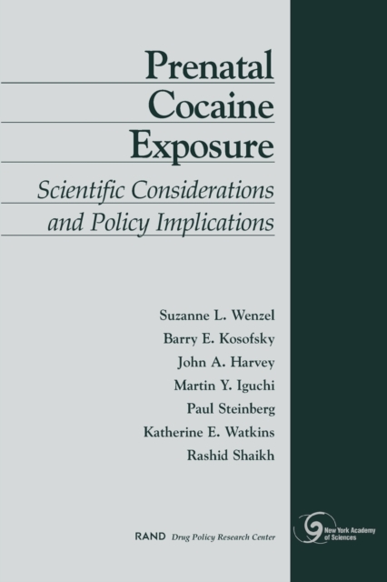 Prenatal Cocaine Exposure : Scientific Considerations and Policy Implications, Paperback / softback Book