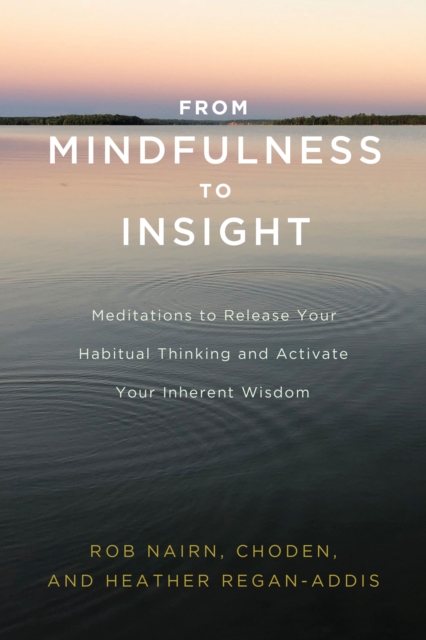 From Mindfulness to Insight, EPUB eBook