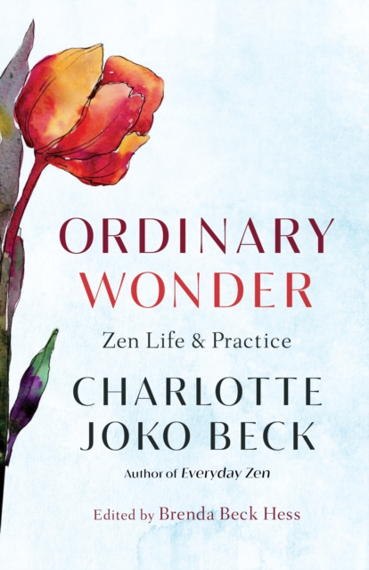 Ordinary Wonder, EPUB eBook