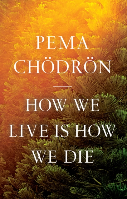 How We Live Is How We Die, EPUB eBook