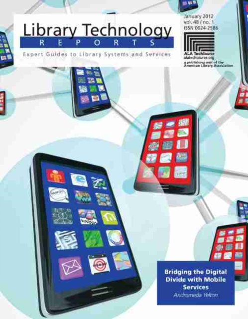 Bridging the Digital Divide with Mobile Services, Paperback / softback Book