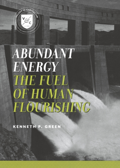 Abundant Energy : The Fuel of Human Flourishing, Paperback / softback Book