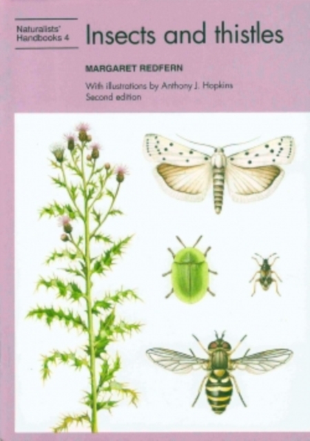 Insects and thistles, Paperback / softback Book
