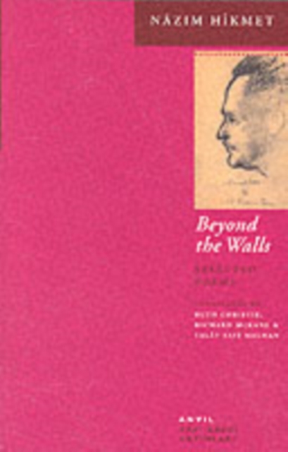 Beyond the Walls : Selected Poems, Paperback / softback Book