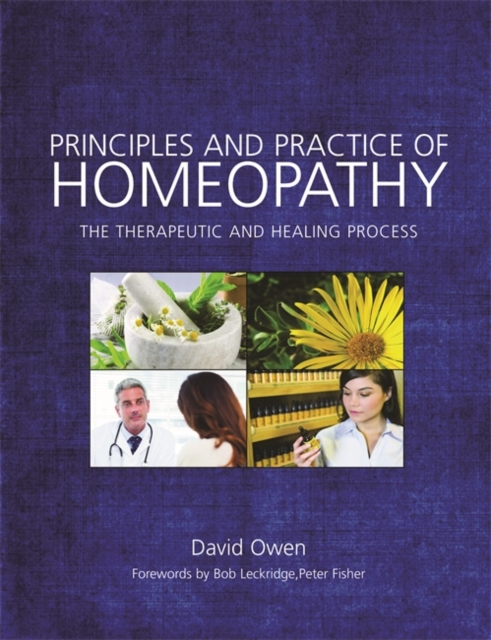 Principles and Practice of Homeopathy : The Therapeutic and Healing Process, EPUB eBook
