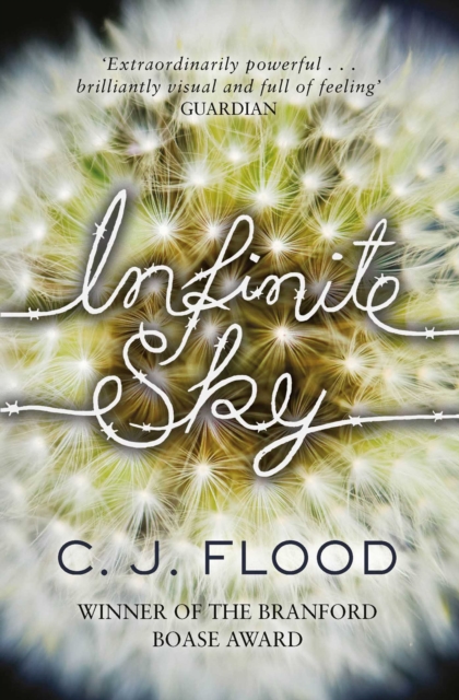 Infinite Sky, EPUB eBook