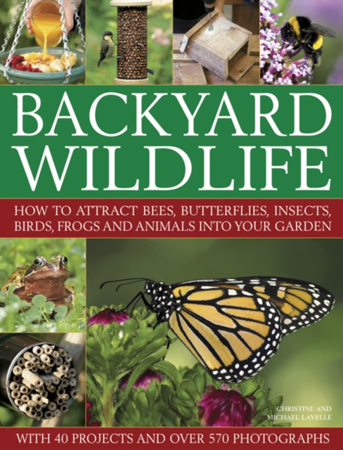 Backyard Wildlife, Hardback Book