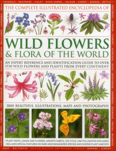 Complete Illustrated Encyclopedia of Wild Flowers & Flora of the World, Hardback Book