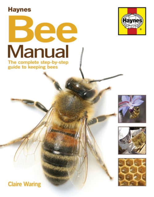 Bee Manual : The complete step-by-step guide to keeping bees, Hardback Book