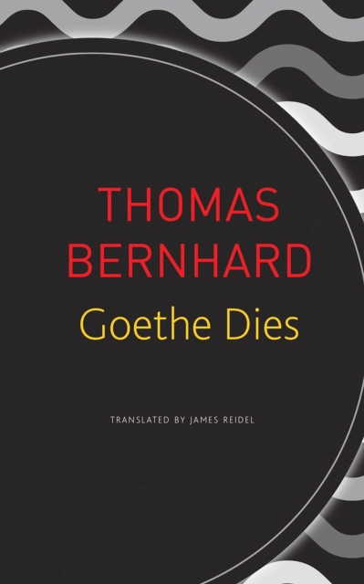 Goethe Dies, Paperback / softback Book