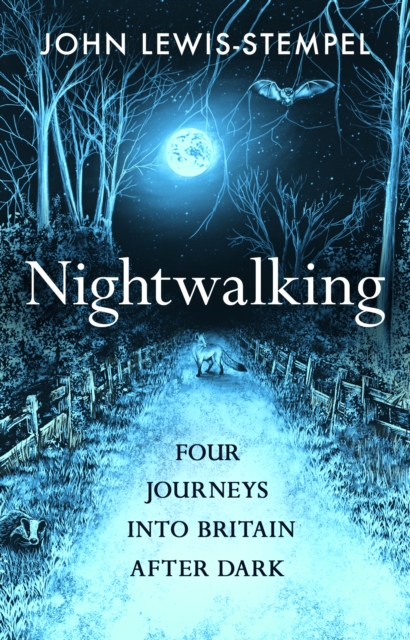 Nightwalking : Four Journeys into Britain After Dark, Hardback Book