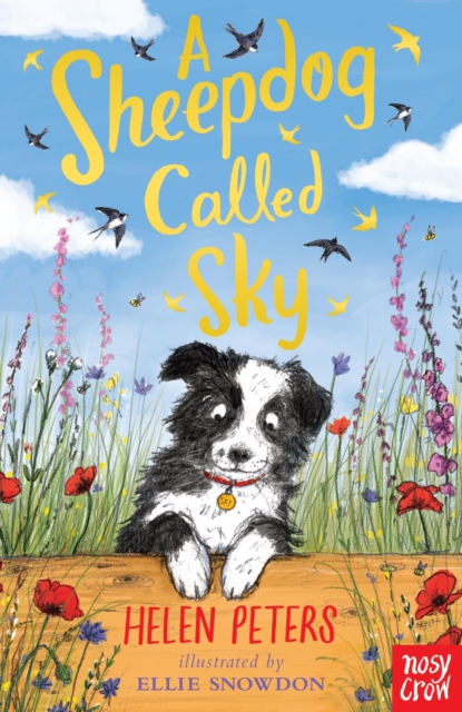 A Sheepdog Called Sky, EPUB eBook