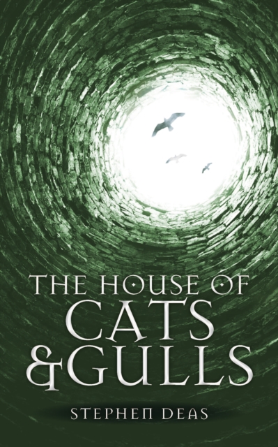 House of Cats and Gulls, EPUB eBook