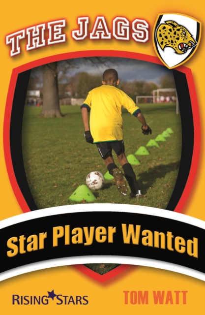 Star Player Wanted, EPUB eBook