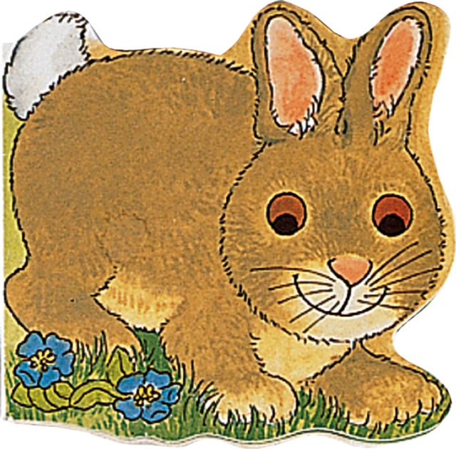 Pocket Bunny, Board book Book