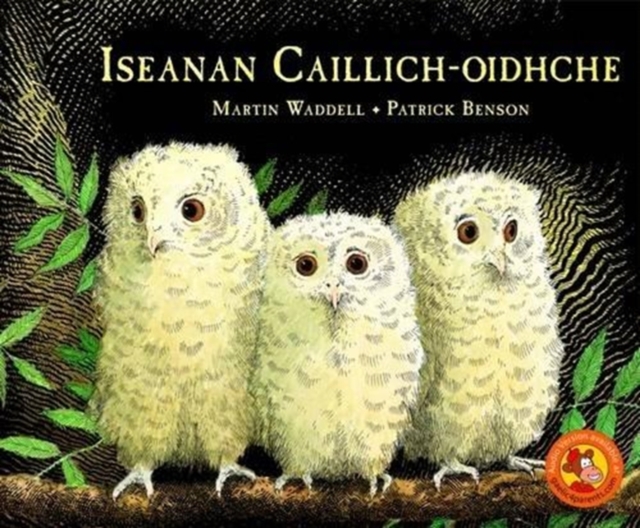 Iseanan Caillich-Oidhche, Paperback / softback Book