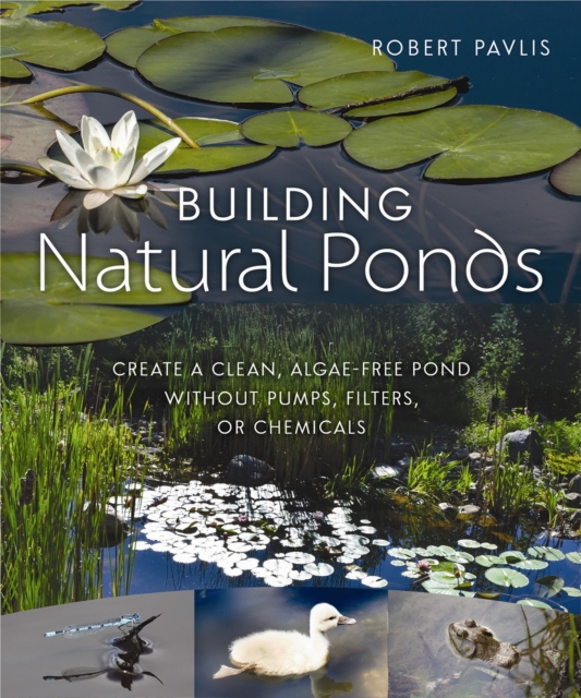 Building Natural Ponds : Create a Clean, Algae-free Pond without Pumps, Filters, or Chemicals, Paperback / softback Book
