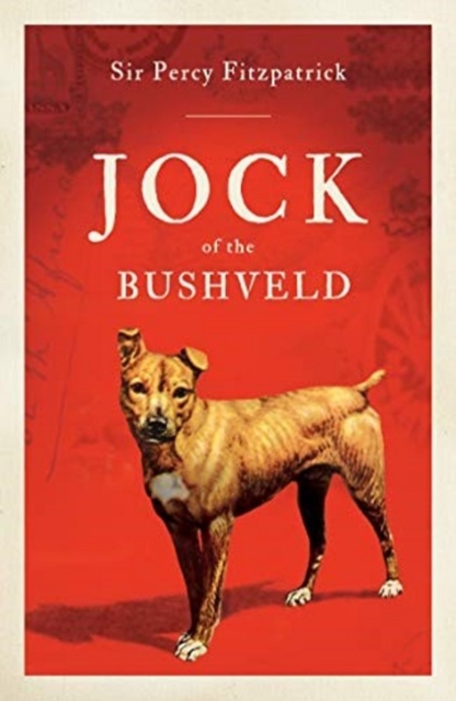 Jock of the Bushveld, Paperback / softback Book