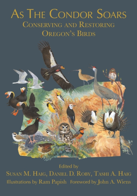 As the Condor Soars : Conserving and Restoring Oregon's Birds, Paperback / softback Book