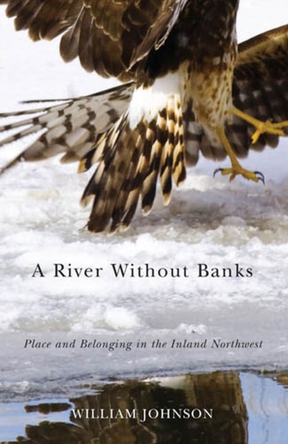 A River Without Banks, Paperback / softback Book