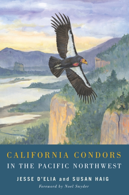 California Condors in the Pacific Northwest, Paperback / softback Book