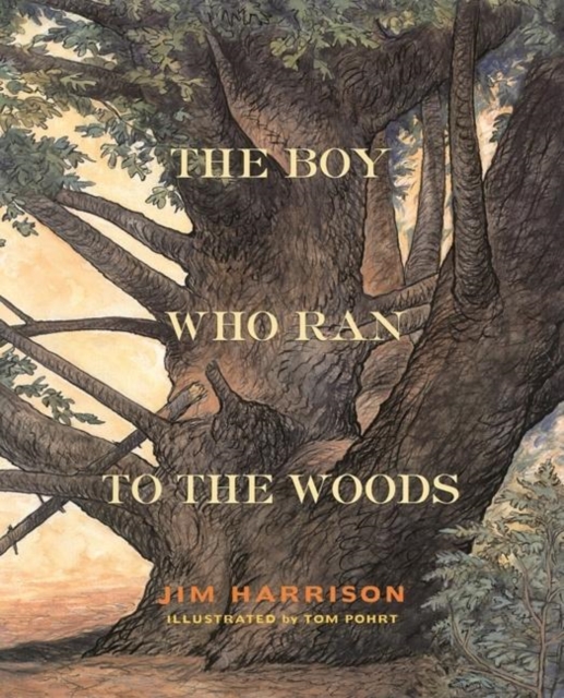 The Boy Who Ran to the Woods, Hardback Book