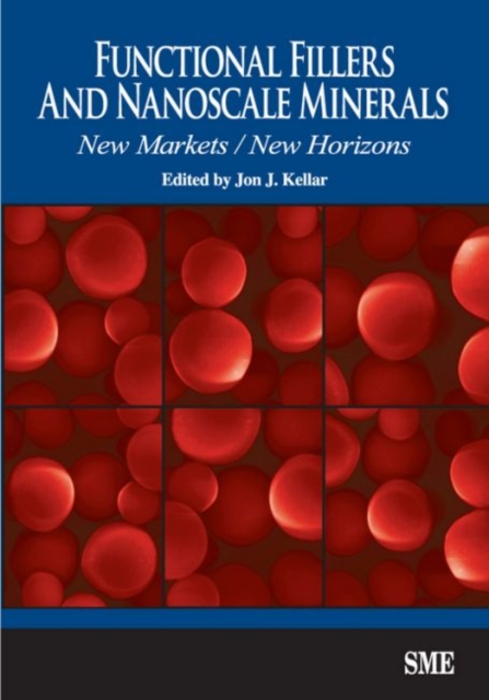 Functional Fillers and Nanoscale Minerals : New Markets/New Horizons, Paperback / softback Book