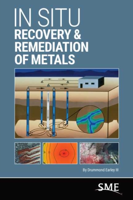 In Situ Recovery & Remediation of Metals, Paperback / softback Book