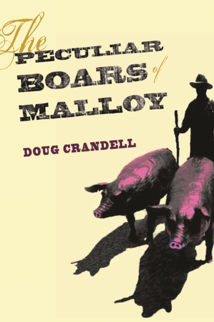 The Peculiar Boars of Malloy, Paperback / softback Book