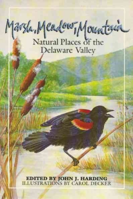 Marsh Meadow Mountain, Paperback / softback Book